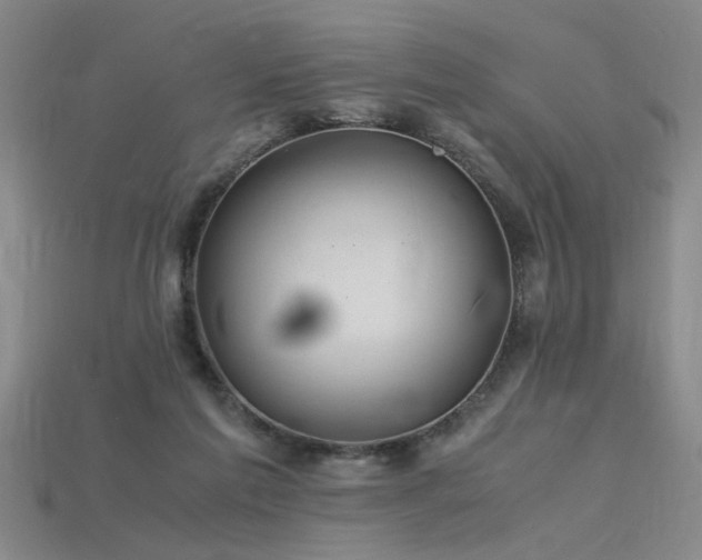 X0000115800213200911131407