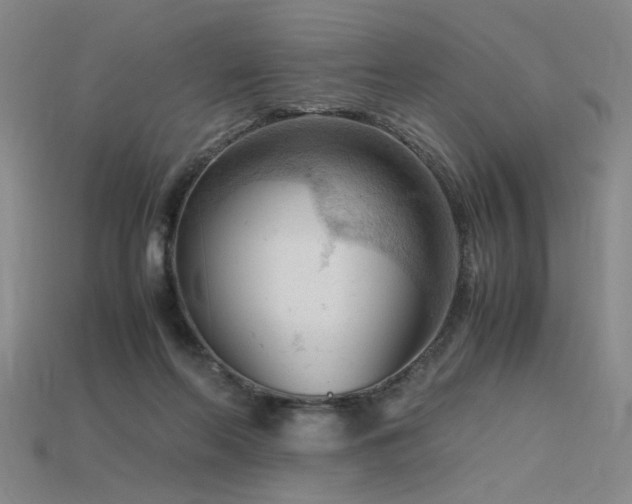 X0000115800214200911131407