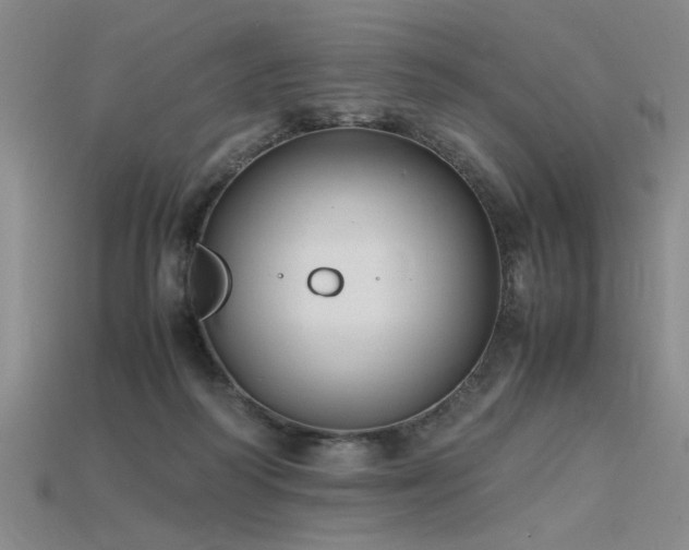 X0000115800218200911131406