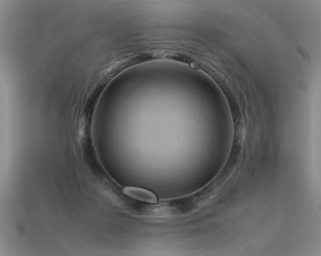 X0000115800219200911131406