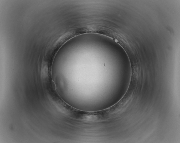 X0000115800220200911131406