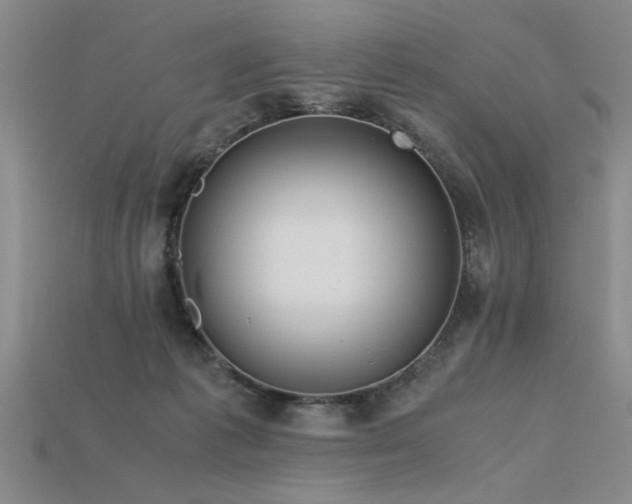 X0000115800221200911131406