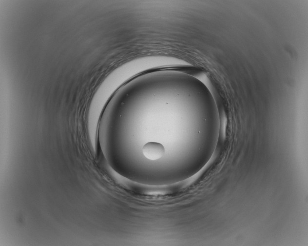 X0000115800225200911131406