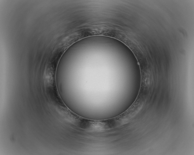 X0000115800226200911131406