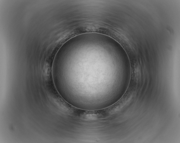 X0000115800228200911131406