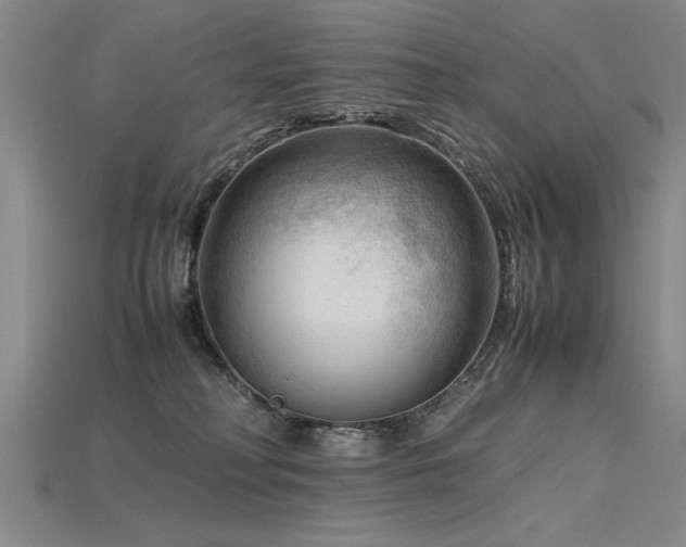 X0000115800230200911131406