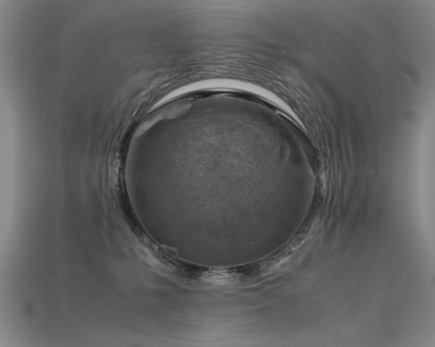 X0000115800231200911131406