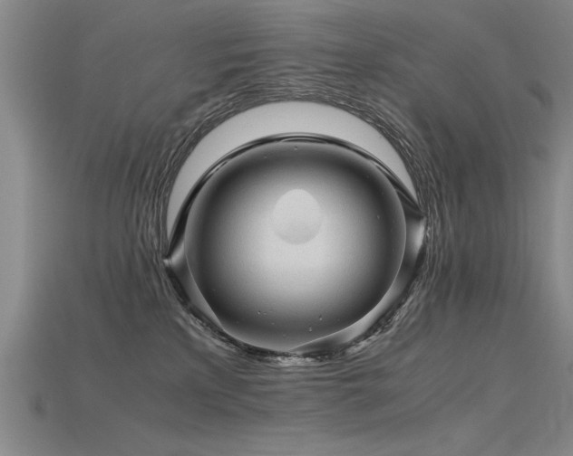 X0000115800233200911131406