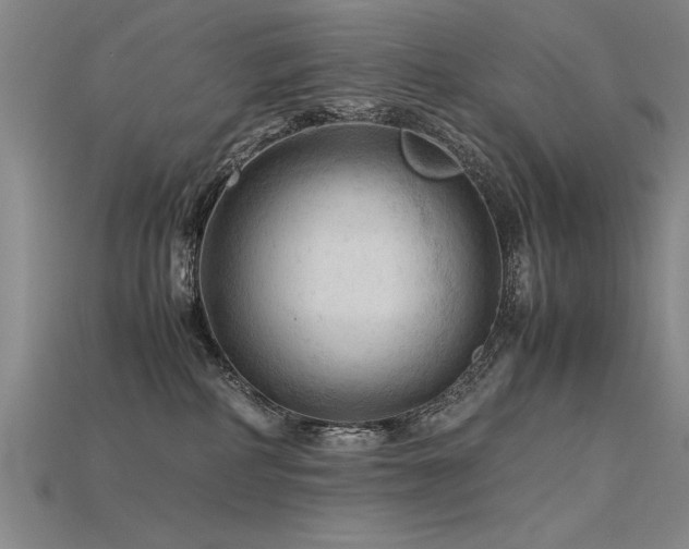 X0000115800234200911131406