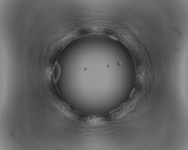 X0000115800235200911131406