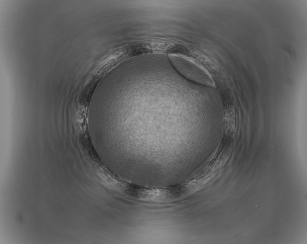X0000115800237200911131406