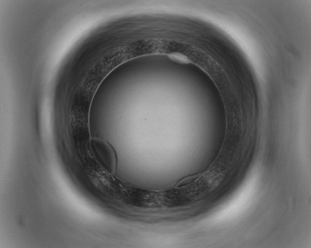 X0000115800239200911131406