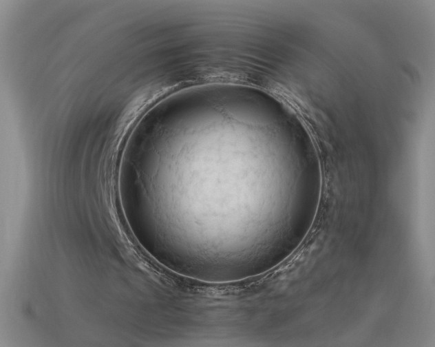 X0000115800241200911131405