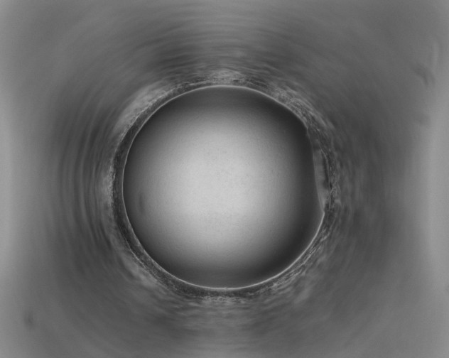 X0000115800242200911131405