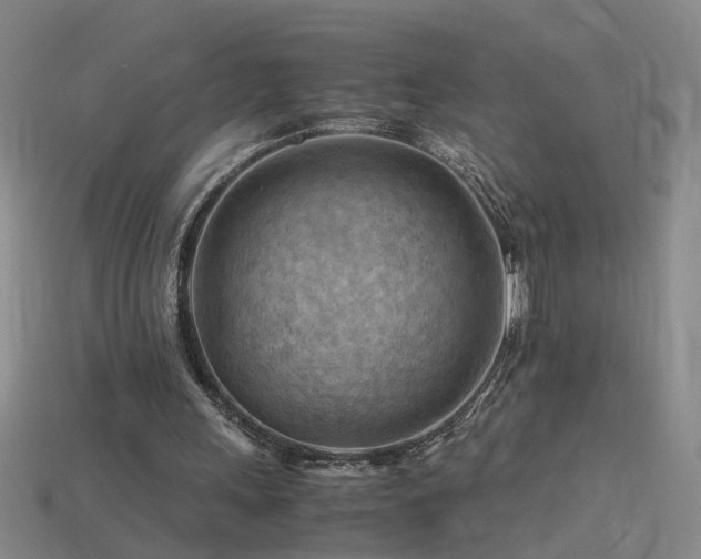 X0000115800243200911131405