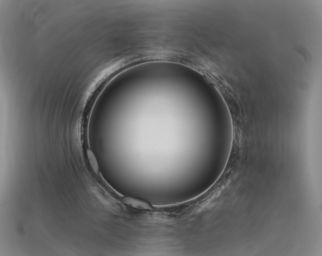 X0000115800244200911131405