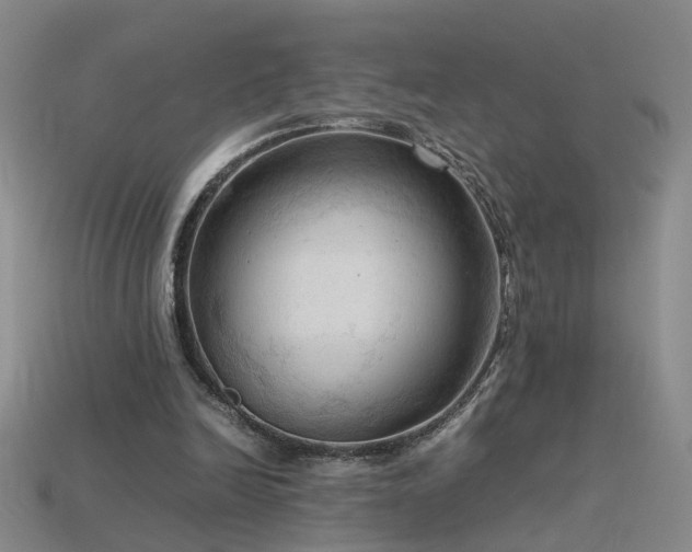 X0000115800246200911131405