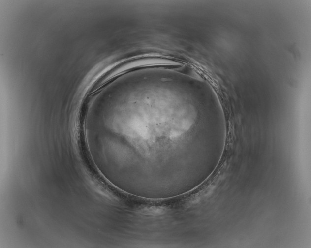 X0000115800247200911131405