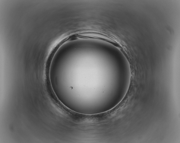 X0000115800248200911131406