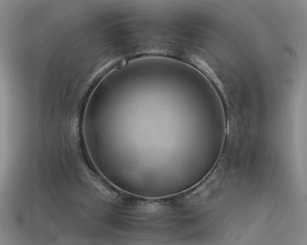 X0000115800249200911131406