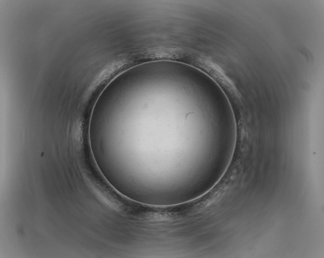 X0000115800250200911131406