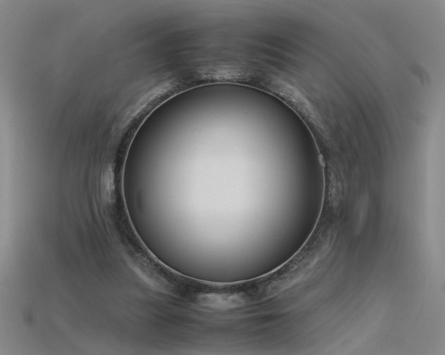 X0000115800251200911131406
