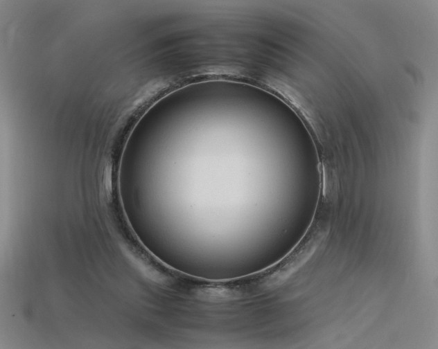 X0000115800253200911131406