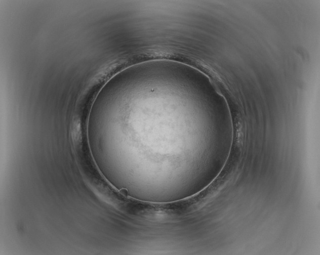 X0000115800254200911131406
