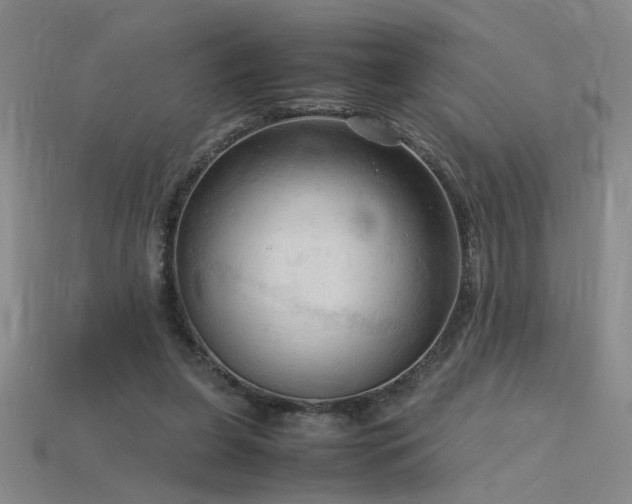 X0000115800255200911131406