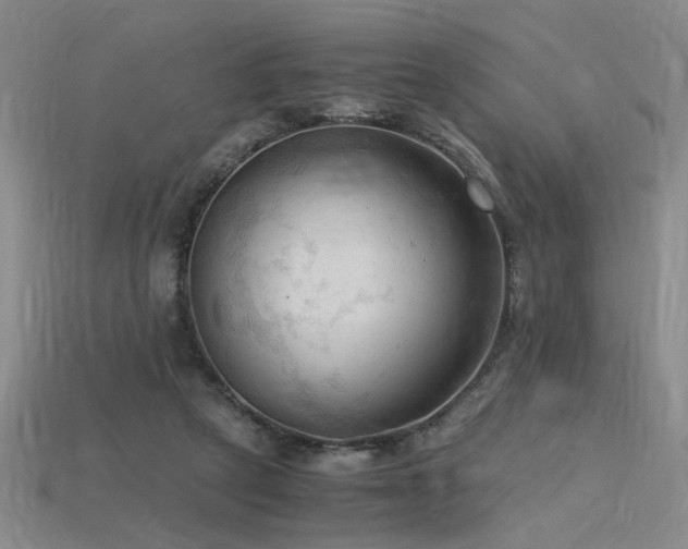 X0000115800257200911131406