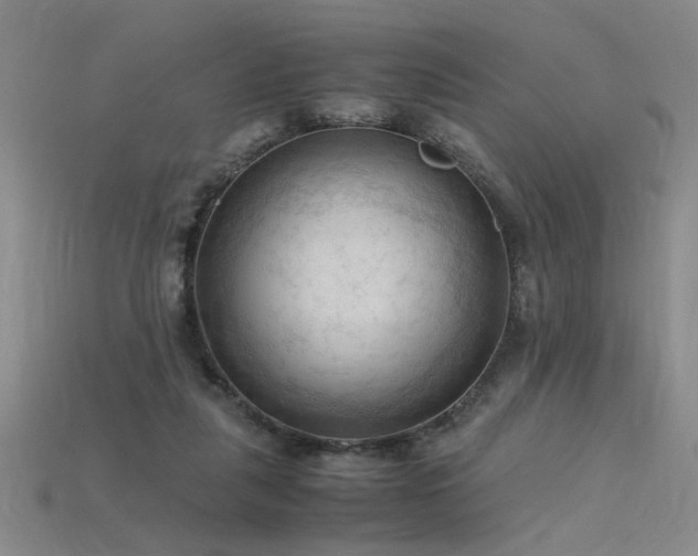 X0000115800259200911131406