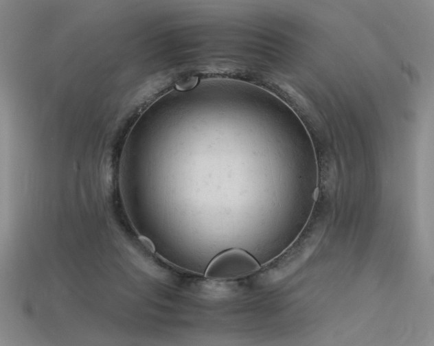 X0000115800261200911131406