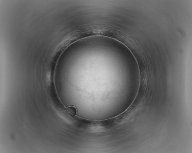 X0000115800262200911131406