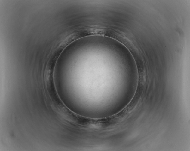 X0000115800263200911131406