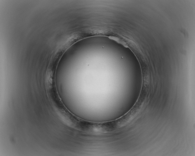 X0000115800264200911131406