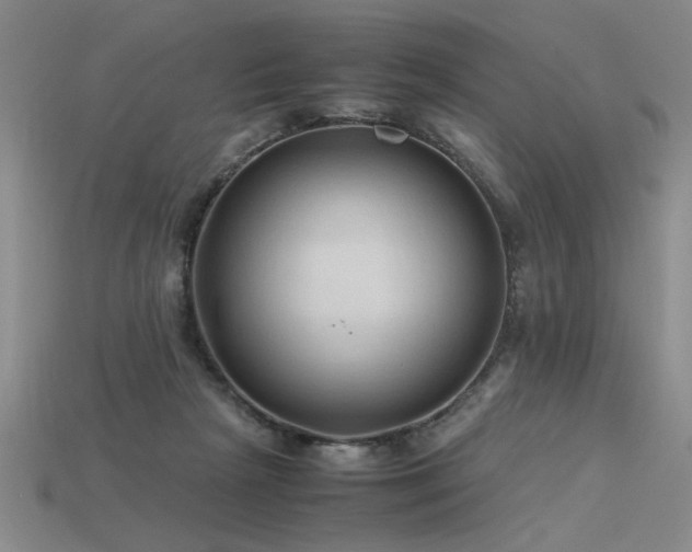 X0000115800265200911131406