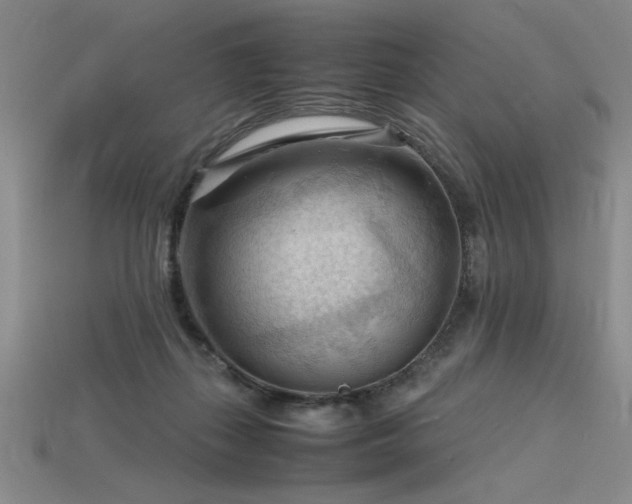 X0000115800267200911131406