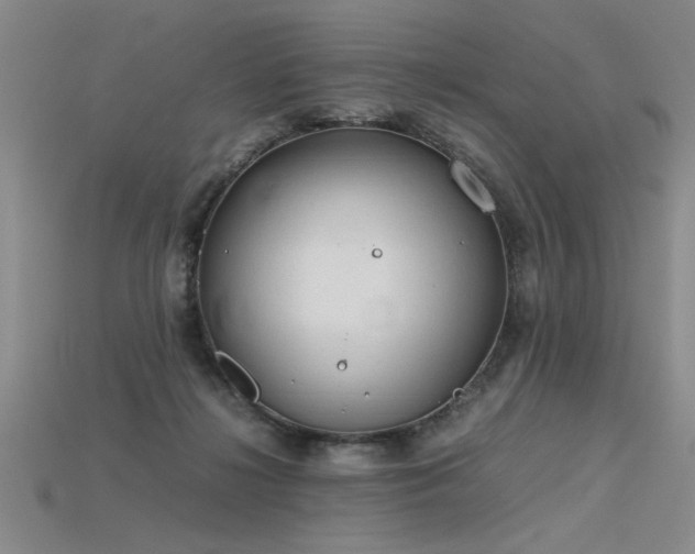 X0000115800268200911131406