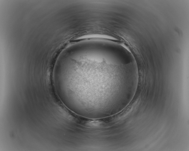 X0000115800269200911131406