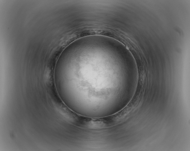 X0000115800270200911131406