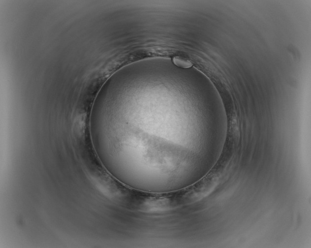X0000115800271200911131406