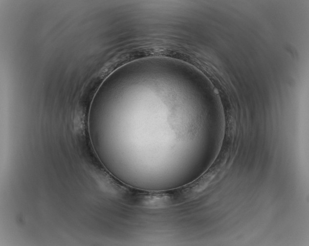 X0000115800274200911131406