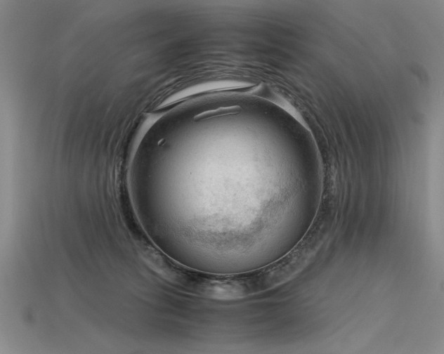 X0000115800275200911131406