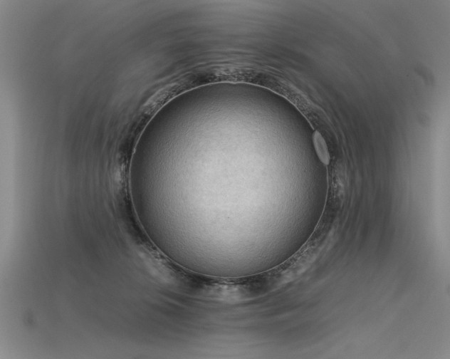 X0000115800276200911131406