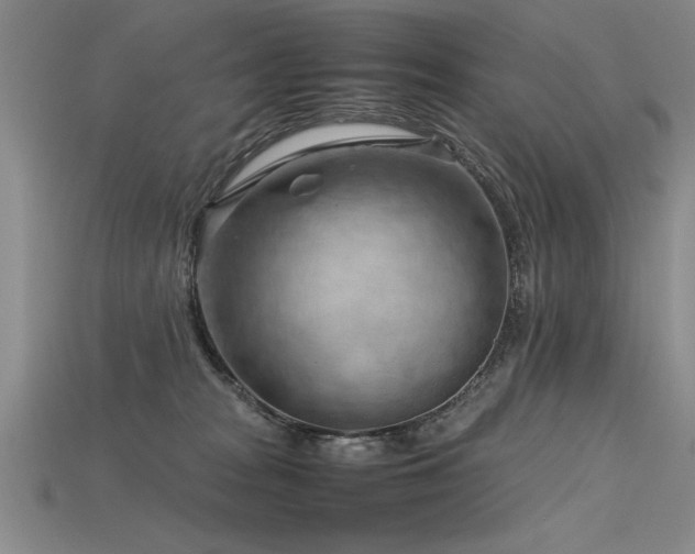 X0000115800277200911131406