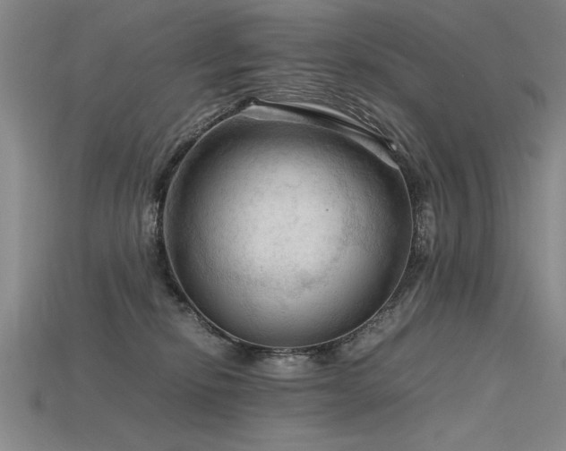 X0000115800278200911131406
