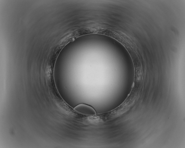X0000115800279200911131406