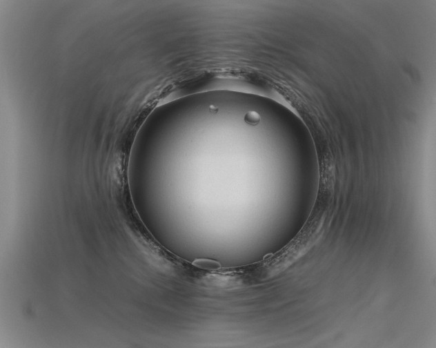 X0000115800280200911131406