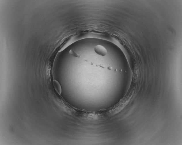 X0000115800282200911131406