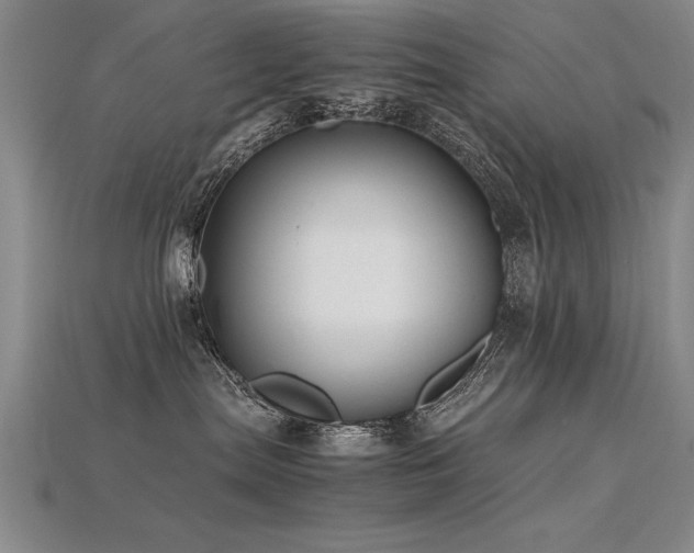 X0000115800287200911131406